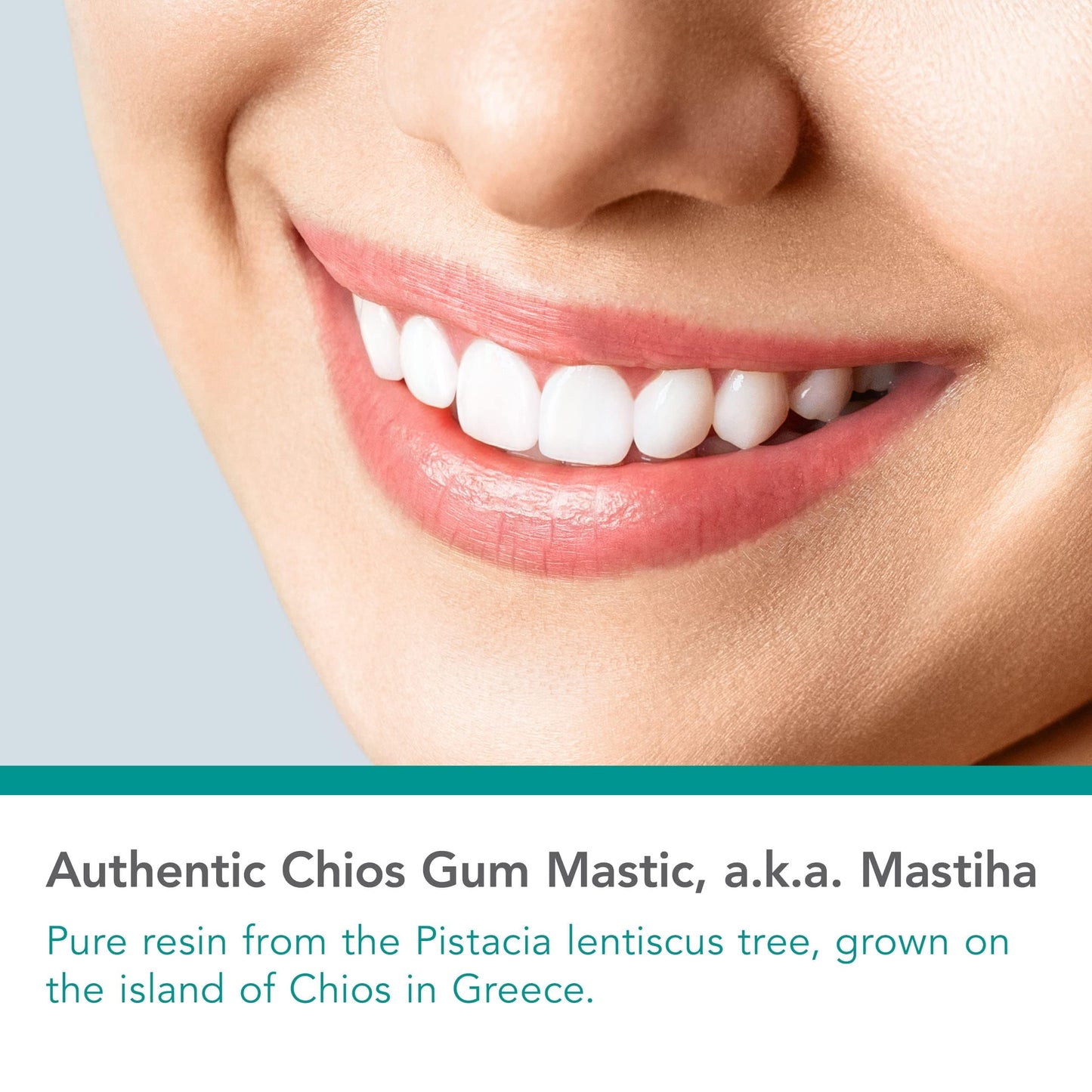 Nutricology Mastic Gum Dietary Supplement - Authentic Chios Mastic, GI Health, Hypoallergenic, Gluten Free - 60 Count