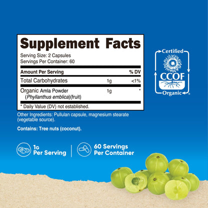 Nutricost Amla 1000mg | 120 Vegetarian Capsules | Organic, Non-GMO, Gluten Free