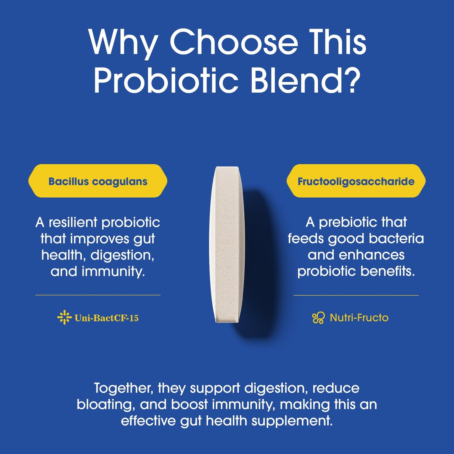 Nutrition Essentials GMP Certified Probiotic Dietary Supplement – 6 Bottles, 360 Capsules