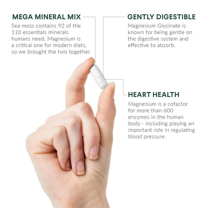 Nutritional Roots Magnesium + Irish Sea Moss | 350 mg Magnesium Glycinate, 60 Capsules