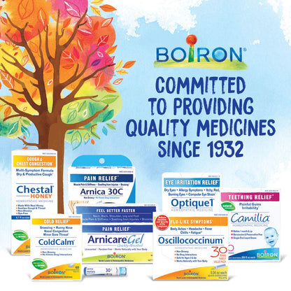 Boiron Nux Vomica 200CK – Homeopathic Medicine for Heartburn or Drowsiness (Pack of 3, 240 Pellets)