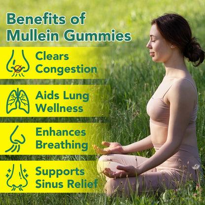 Nyloriaine Mullein Gummies for Lungs – Mullein Extract & Immune Support