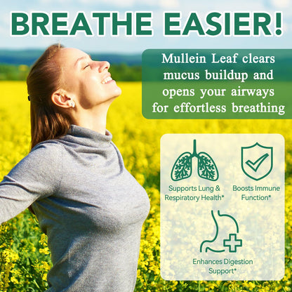 Nyloriaine Mullein Gummies for Lungs – Mullein Extract & Immune Support