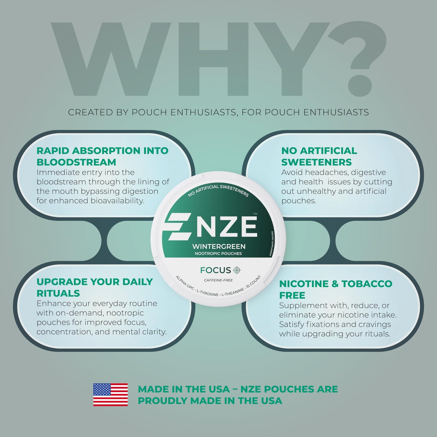 NZE Caffeine Free Nootropic Pouches (Wintergreen) – 15 Pouches Per Can – 5 Pack
