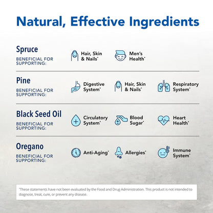 O2rega 8 oz – Natural Source of Oxygen | P73 Oregano, Spruce & Pine | Mycellized Absorption | Non-GMO | 16 Servings | North American Herb & Spice