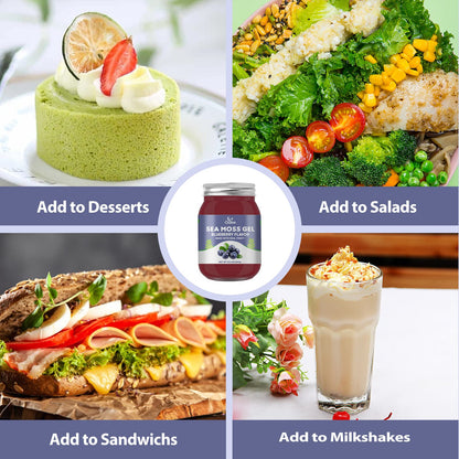 OALSE Sea Moss Gel - 18.5oz Blueberry Flavor | Raw Sea Moss Gel with Minerals, Proteins & Vitamins - Vegan-Friendly
