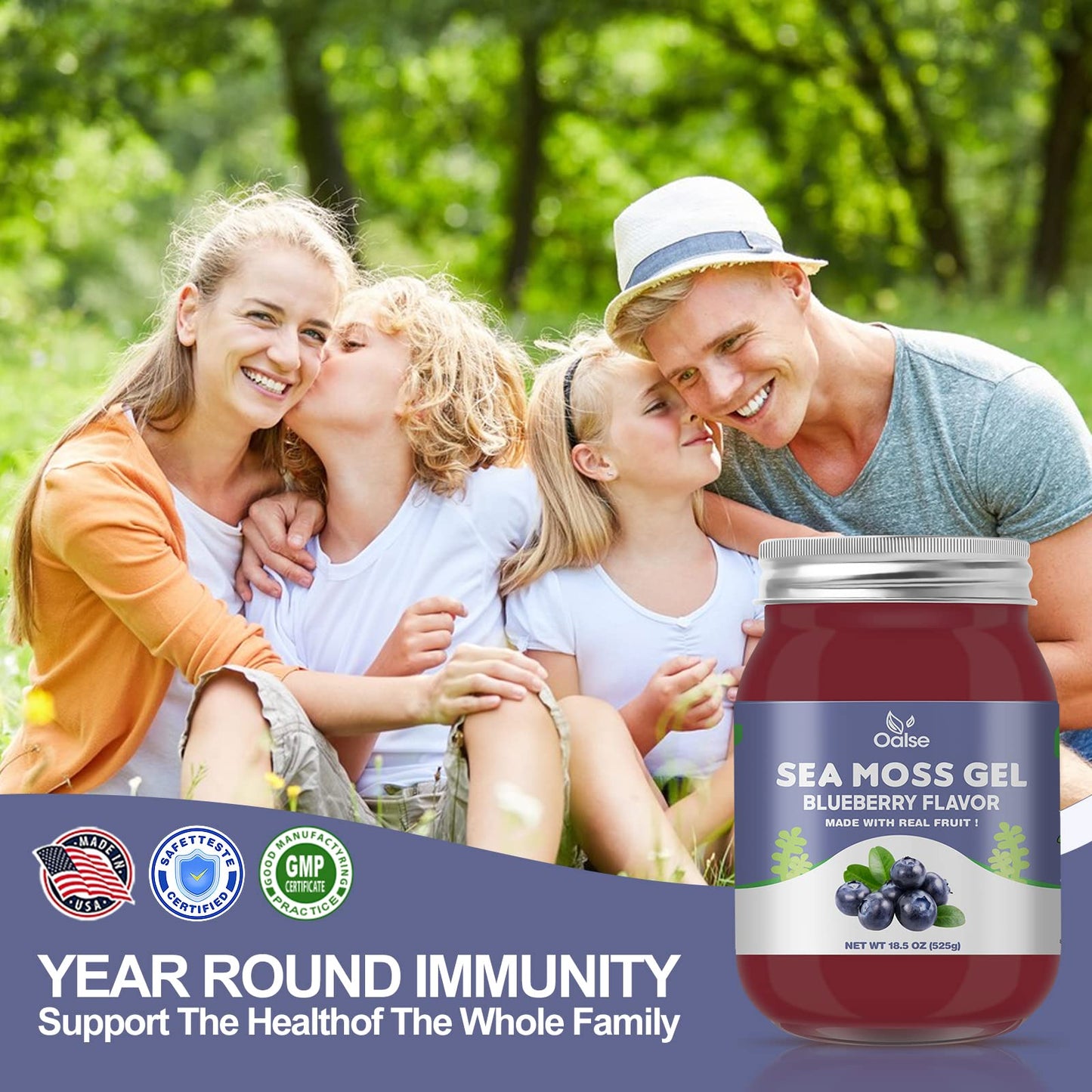 OALSE Sea Moss Gel - 18.5oz Blueberry Flavor | Raw Sea Moss Gel with Minerals, Proteins & Vitamins - Vegan-Friendly