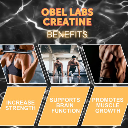 Obel Creatine Monohydrate (Micronized) 500g | 17.6 oz