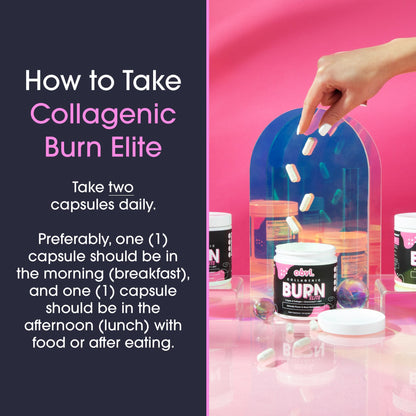 Obvi Burn Elite – Metabolism, Energy & Focus Support | Collagen + Green Tea | 60 Capsules