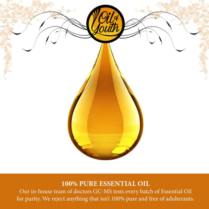Oil of Youth Cedarwood Essential Oil - 16oz Bulk for Aromatherapy