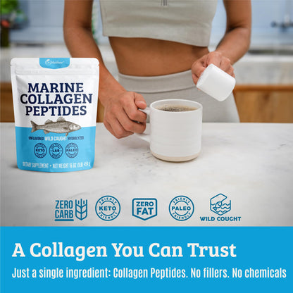 Dr. Matthew Marine Collagen Peptides Powder - Hydrolyzed Wild-Caught Fish Protein for Hair & Skin | Women & Men
