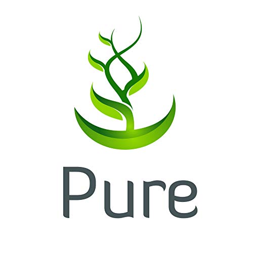 Okra Extract Capsules – Pure Original Ingredients (365 Capsules) No Magnesium or Rice Fillers | Lab Verified