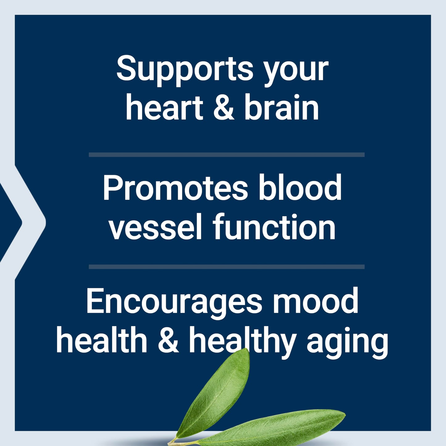 Life Extension Super Omega-3 EPA/DHA with Sesame Lignans & Olive Extract – Heart & Brain Health (120 Softgels)