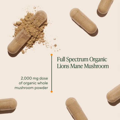 Om Lion's Mane Mushroom Capsules | Organic Mushroom Supplement & Nootropic for Memory and Focus | 180 Count (60 Servings)
