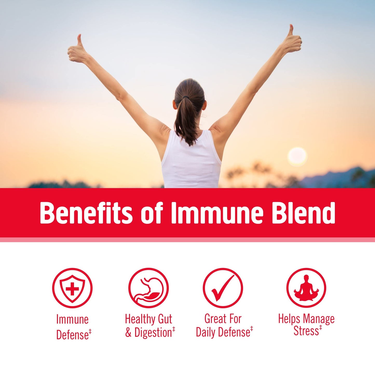 OM Mushroom Superfood Immune Blend Powder – 7.05 oz (100 Servings) Reishi & Turkey Tail