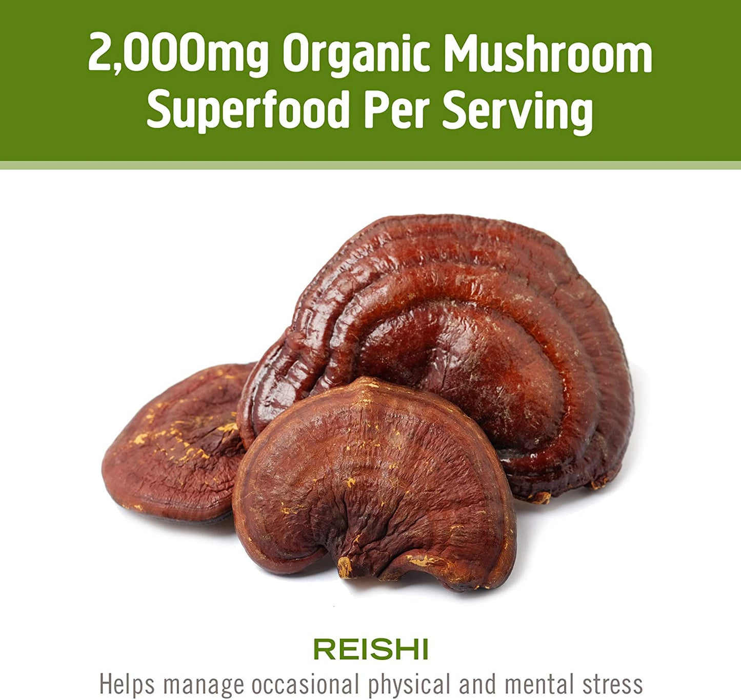 OM Mushroom Reishi Capsules - 90 Count, Organic Adaptogen for Stress & Immune Health