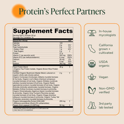 OM Mushroom Superfood Master Blend Vegan Protein – Unflavored, 10 Mushrooms, Ashwagandha, BCAAs & B12 | 1.2 lb