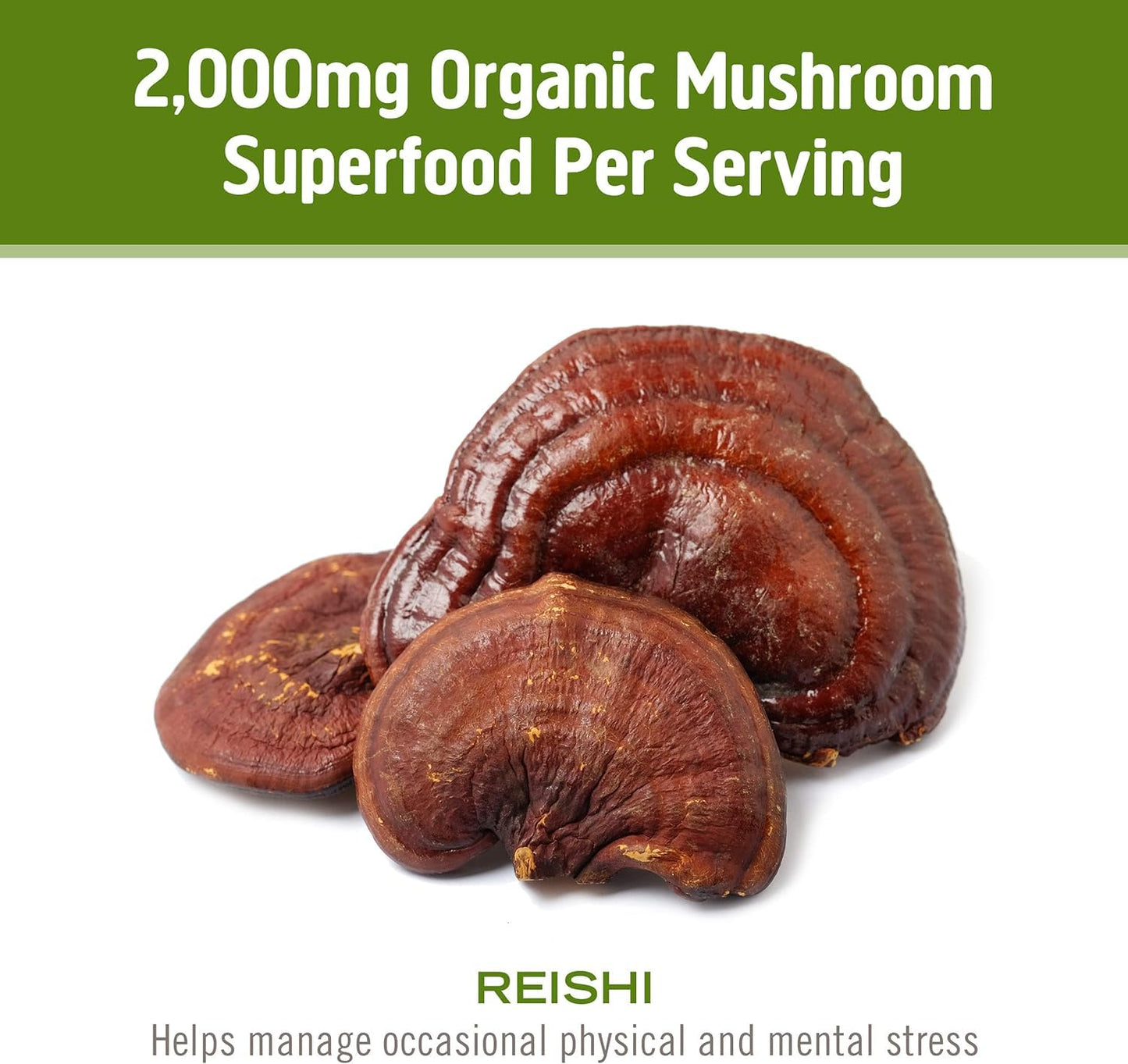 OM MUSHROOM SUPERFOOD Reishi Organic Mushroom Powder – 3.5 oz, 50 Servings, Adaptogen