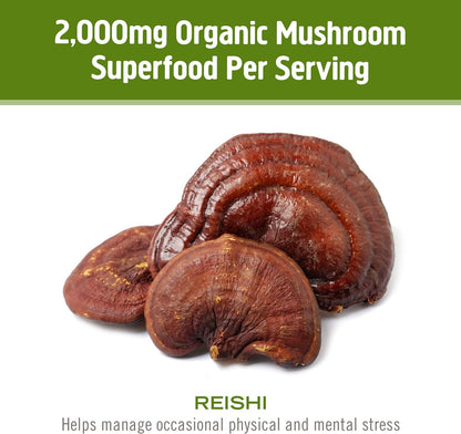 OM MUSHROOM SUPERFOOD Reishi Organic Mushroom Powder – 3.5 oz, 50 Servings, Adaptogen