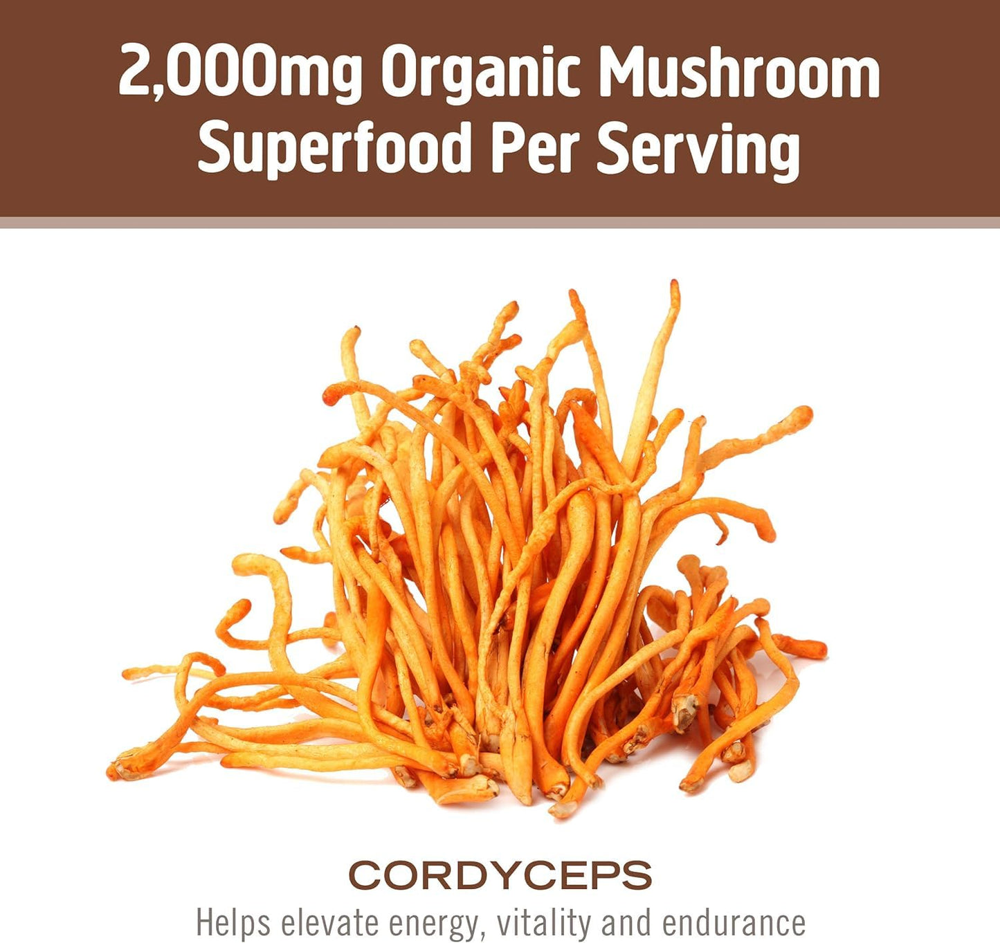 Cordyceps Organic Mushroom Powder | OM Mushroom Superfood – 3.5 oz, 50 Servings, Energy & Endurance