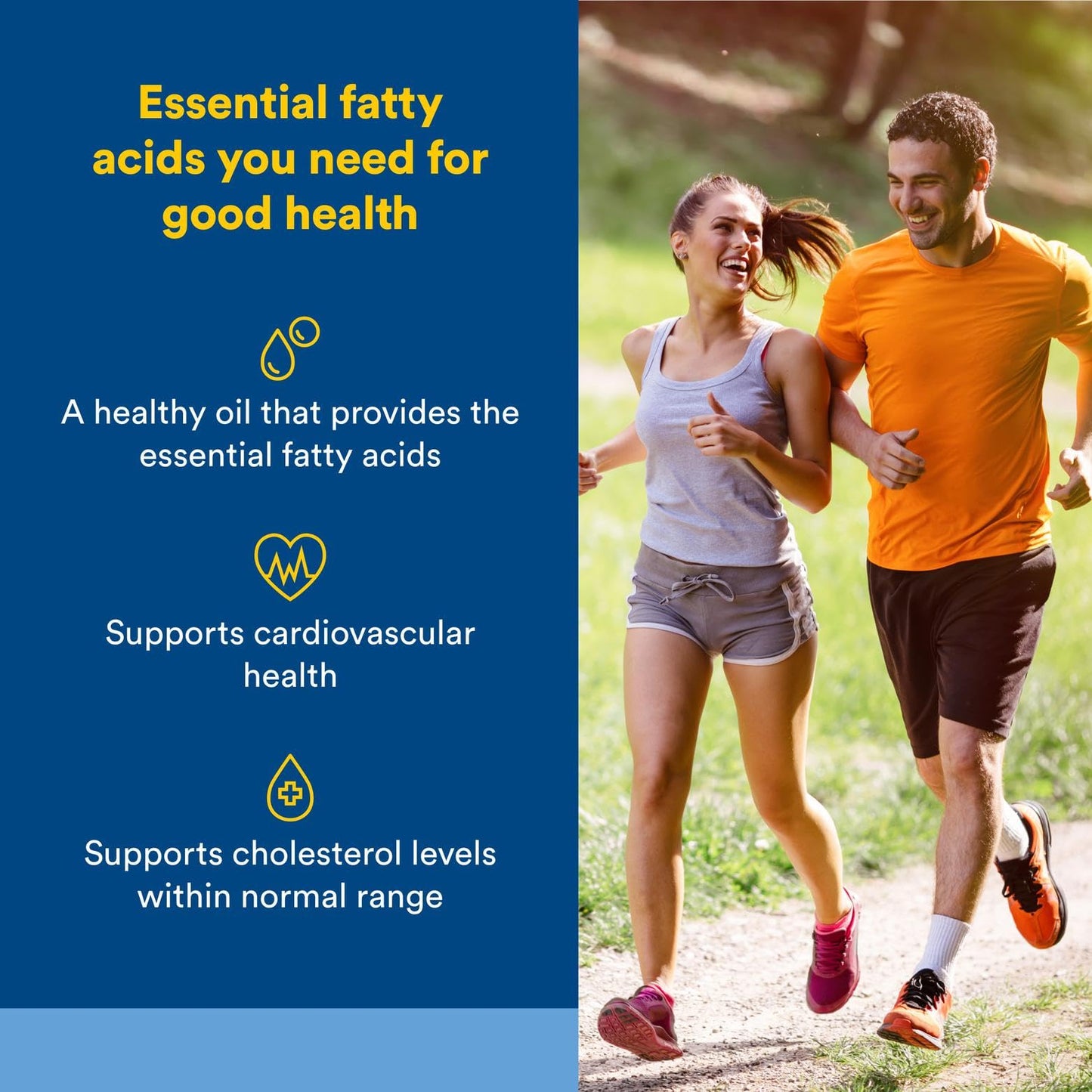 Omega Factors Flaxseed Oil by Natural Factors – 180 Softgels | Omega-3, 6 & 9