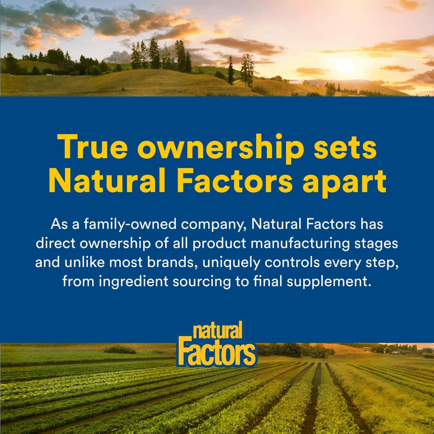 Omega Factors Flaxseed Oil | Natural Factors | Omega-3 6 9 | 360 Softgels