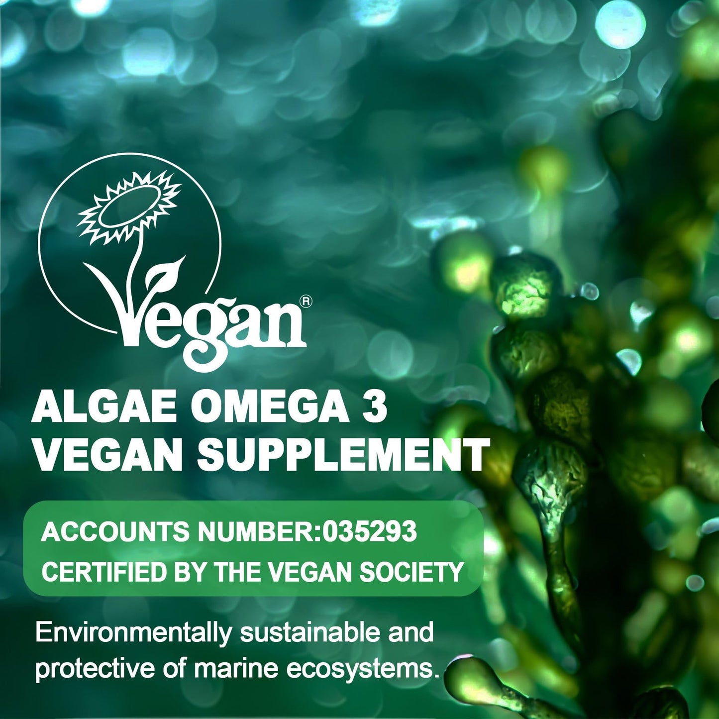 Omega 3 Gummies 2200mg from Algae Oil – DHA 640mg & EPA 290mg | Vegan, Sugar-Free