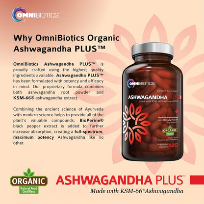 OmniBiotics Organic Ashwagandha – 1300mg Total Strength, 120 Vegan Caps