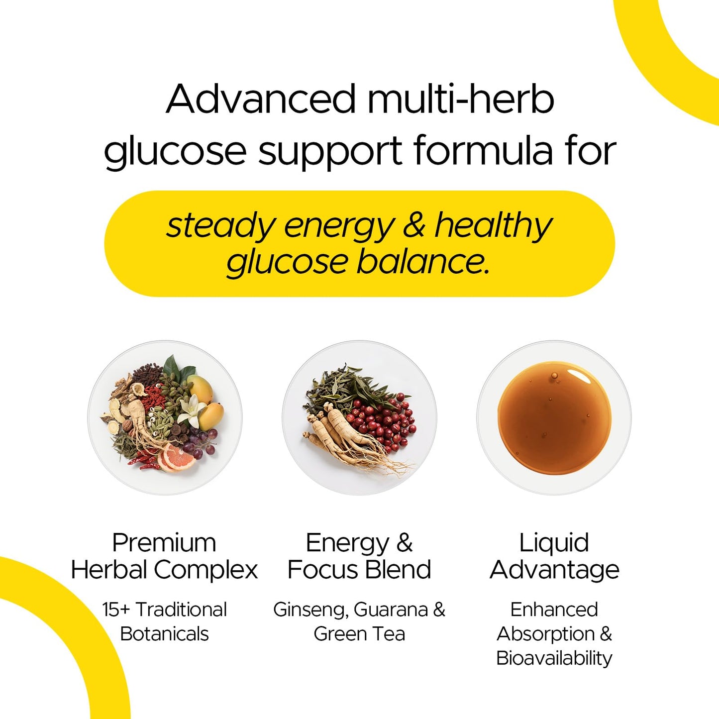 ONOTIC Glyco Support Steady Shield Drops – 17-in-1 Herbal Blood Sugar Health (60 ml) | Vegan, Non-GMO, Gluten Free