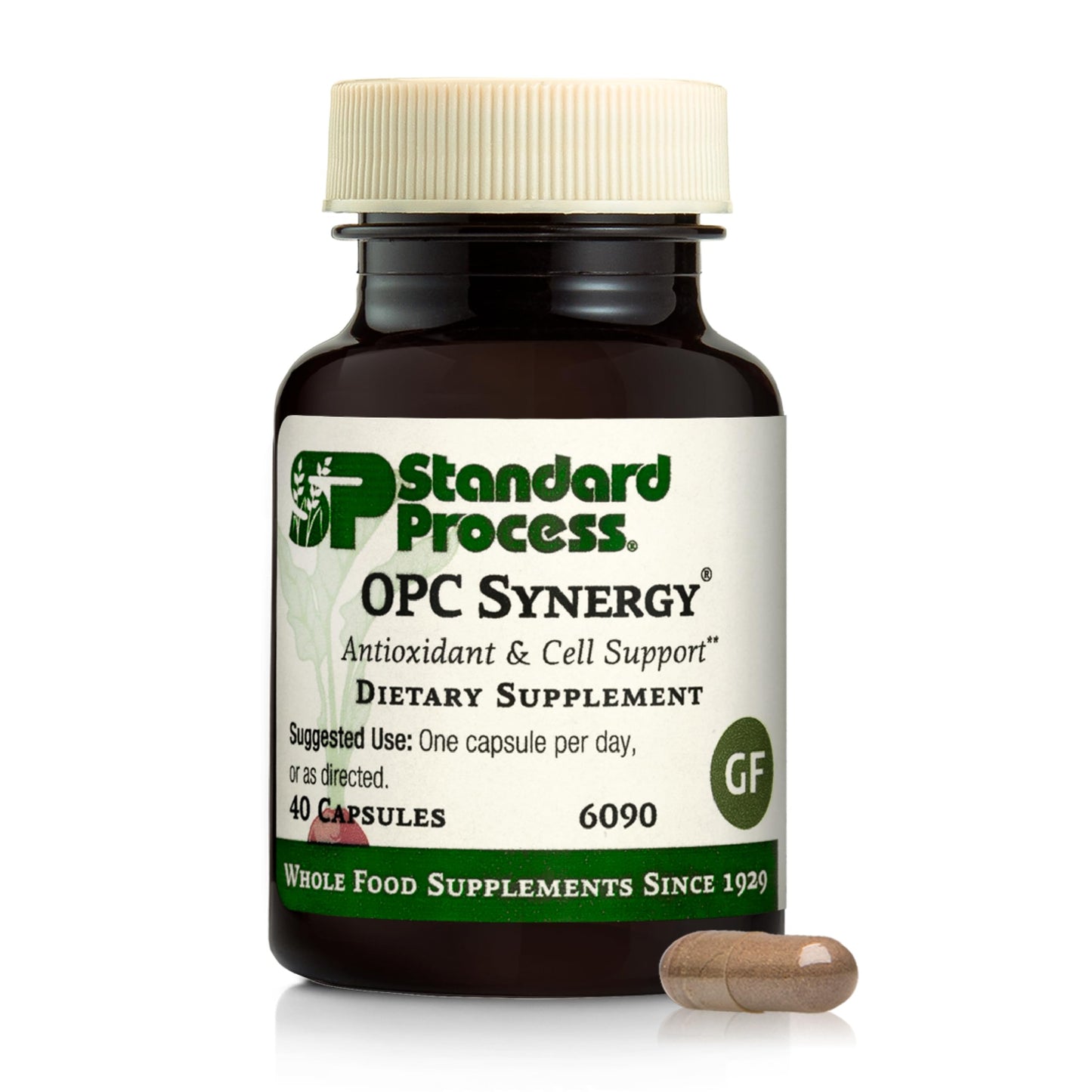 Standard Process OPC Synergy – Antioxidant & Brain Health – 150 Tablets