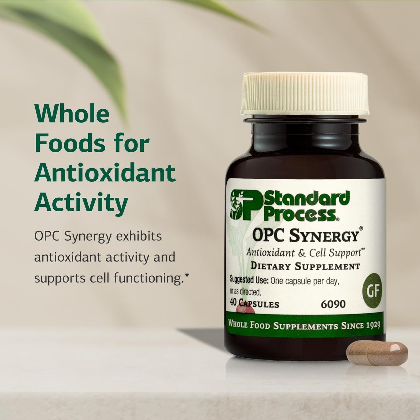 Standard Process OPC Synergy – Antioxidant & Brain Health – 150 Tablets