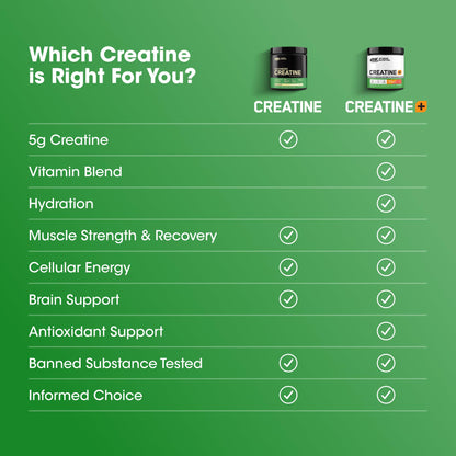 Optimum Nutrition Micronized Creatine Monohydrate Powder – Unflavored, 60 Servings, 300 g | Packaging May Vary
