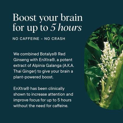 Ora Organic Brain Health Supplement for Focus, Mental Energy & Memory - Panax Red Ginseng, Bacopa Monnieri, Alpha GPC & EnXtra - 60 Capsules
