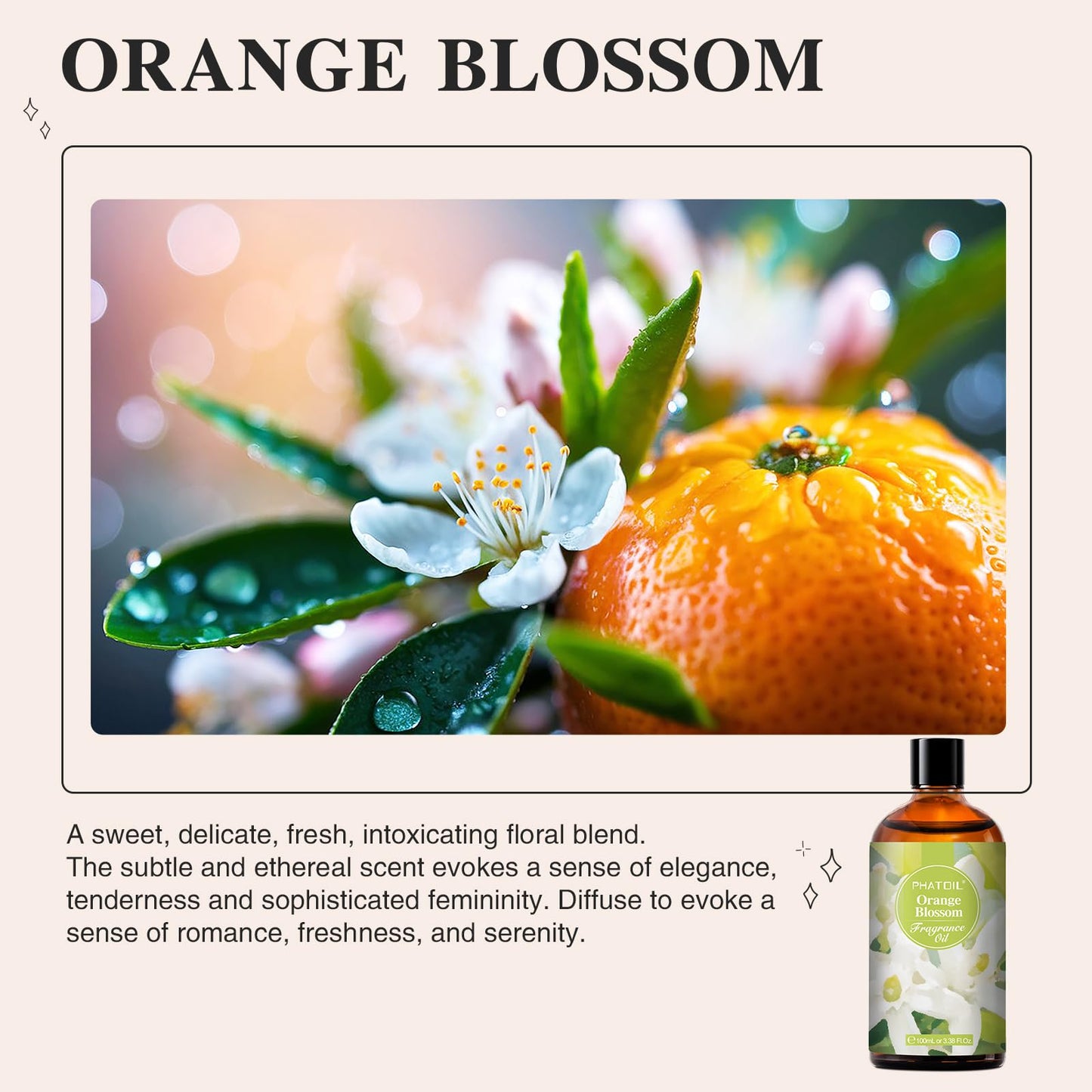 PHATOIL Orange Blossom Fragrance Oil 100ml | Glass Dropper for Diffuser, Soap & Candle Making