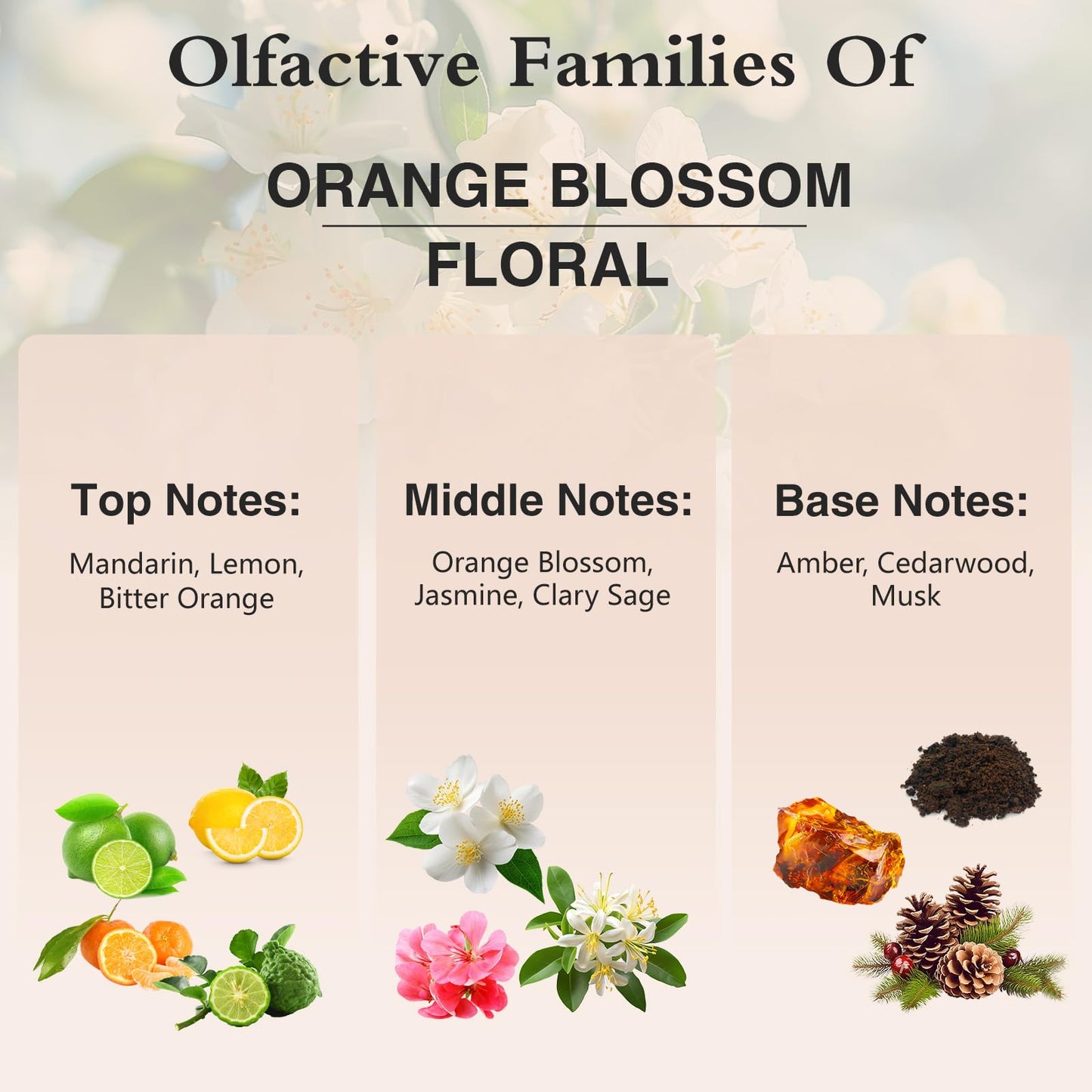 PHATOIL Orange Blossom Fragrance Oil 100ml | Glass Dropper for Diffuser, Soap & Candle Making