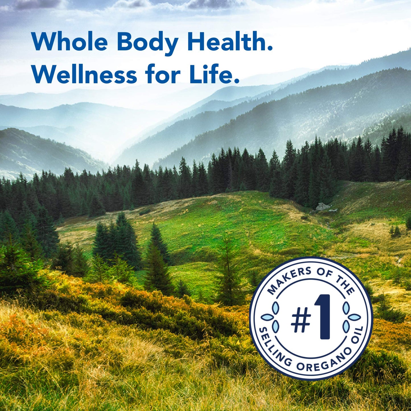 North American Herb & Spice OregaBiotic - 60 Capsules | Immune System & Digestive Support | Non-GMO