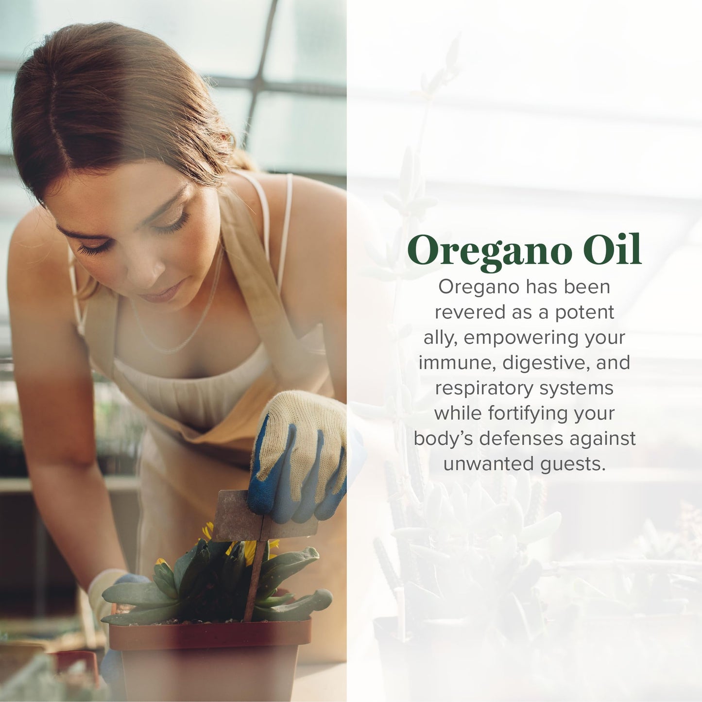 Global Healing Center Oregano Oil Capsules with Organic Ingredients & Cayenne Pepper | Immune Support, Respiratory Health, Digestive Wellness (60 Count)