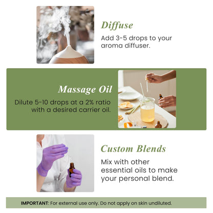 Handcraft Blends Oregano Oil – 1 Fl Oz – 100% Pure and Natural – Premium Grade Essential Oil for Diffuser and Aromatherapy, Skin, Massage, Candle and Soap Making Fragrance
