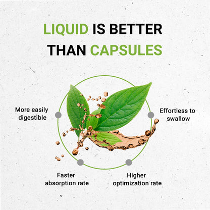 Secrets of the Tribe: Oregon Grape Alcohol-Free Liquid Extract – Responsibly Farmed Mahonia Aquifolium Dried Root 2 oz