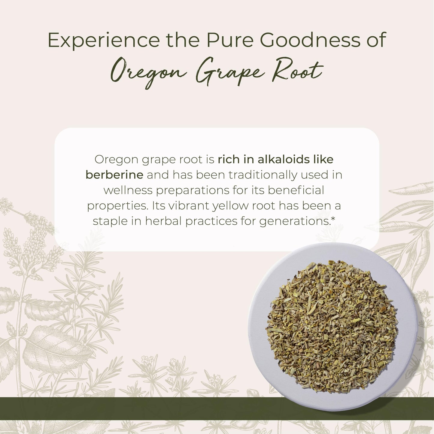 Oregon Grape Root Wildcrafted - 4 oz Pouch | Starwest Botanicals