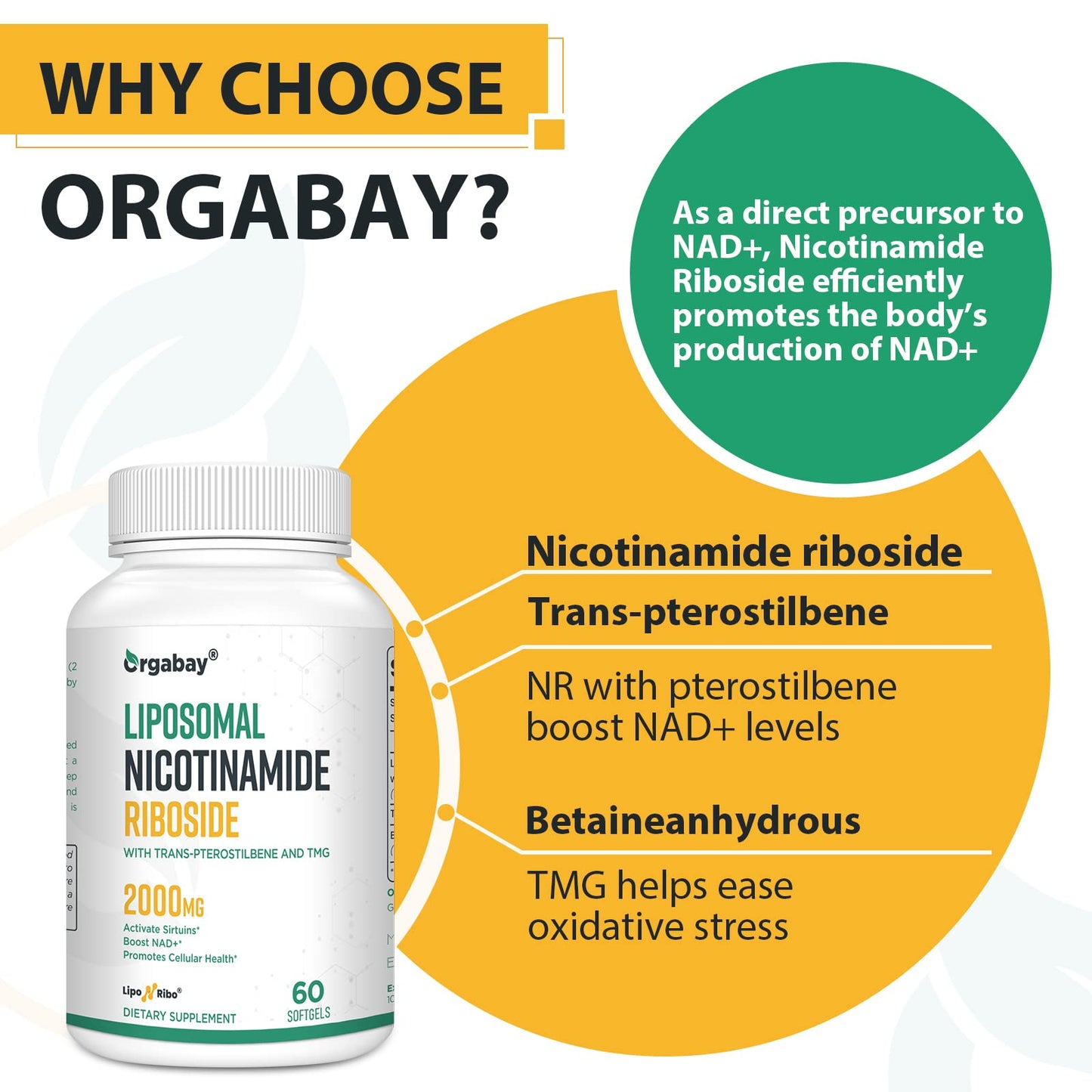 Orgabay Liposomal Nicotinamide Riboside 2000 MG with TMG & Pterostilbene | NAD+ Support, 240 Count