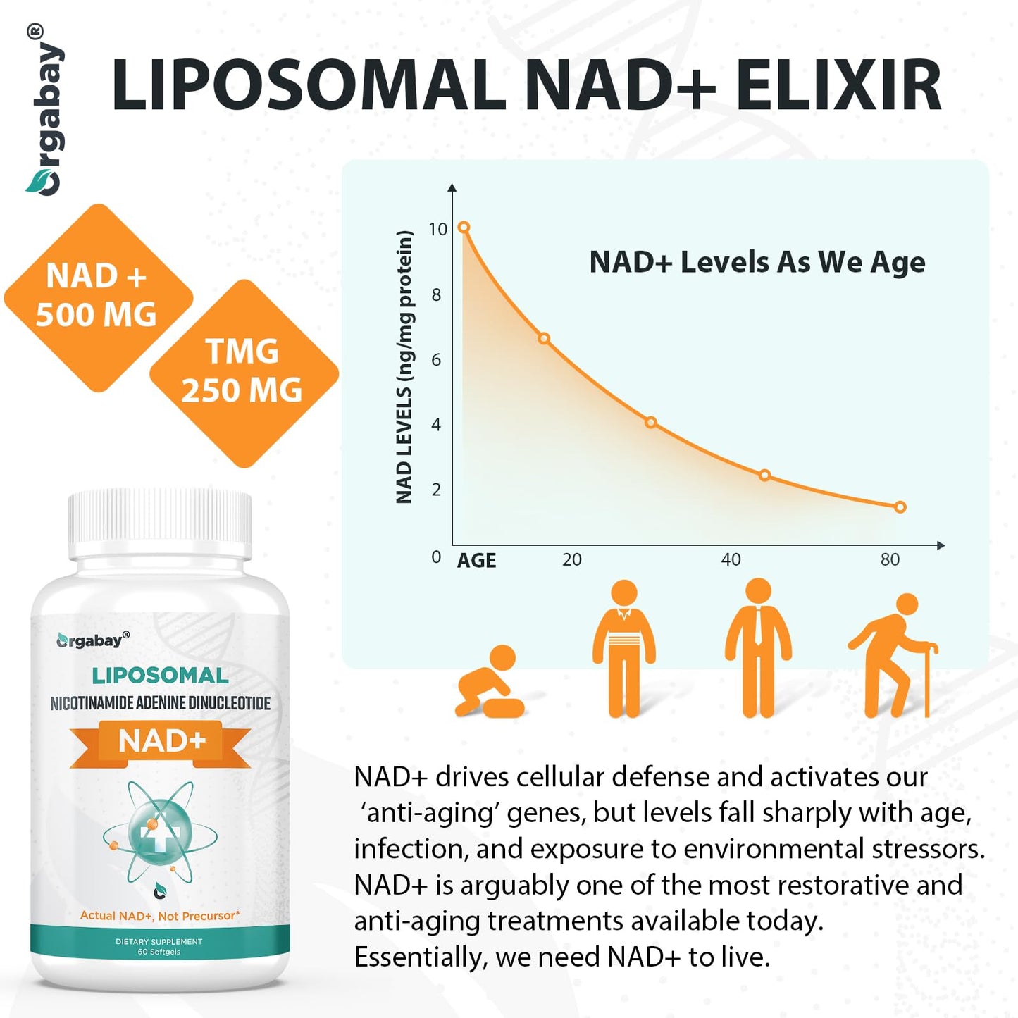 Orgabay Liposomal NAD+ Supplement 500 mg with 250 mg TMG — High Absorption, 180 Softgels