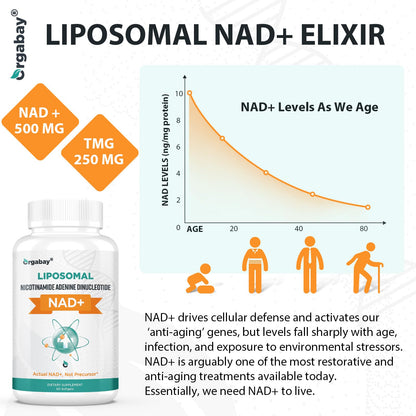 Orgabay Liposomal NAD+ Supplement 500 mg with 250 mg TMG — High Absorption, 180 Softgels