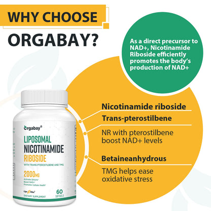 Orgabay Liposomal Nicotinamide Riboside 2000 MG with TMG & Pterostilbene | NAD+ Support, 240 Count