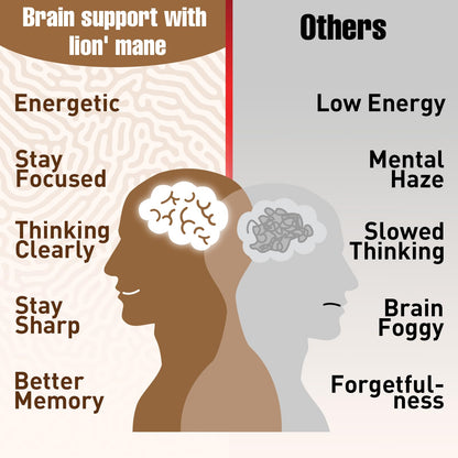 Ashwagandha & Lions Mane Capsules for Brain, Memory & Focus | 90 Capsules