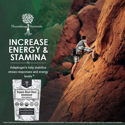 Organic Gelatinized Black Maca – 200 Capsules (1000 mg each) for Energy, Focus & Endurance