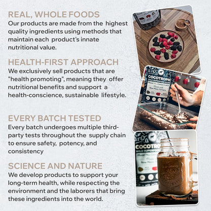 Organic Cocotropic Mushroom Hot Cocoa – Sugar Free, Reishi & Chaga, 16oz