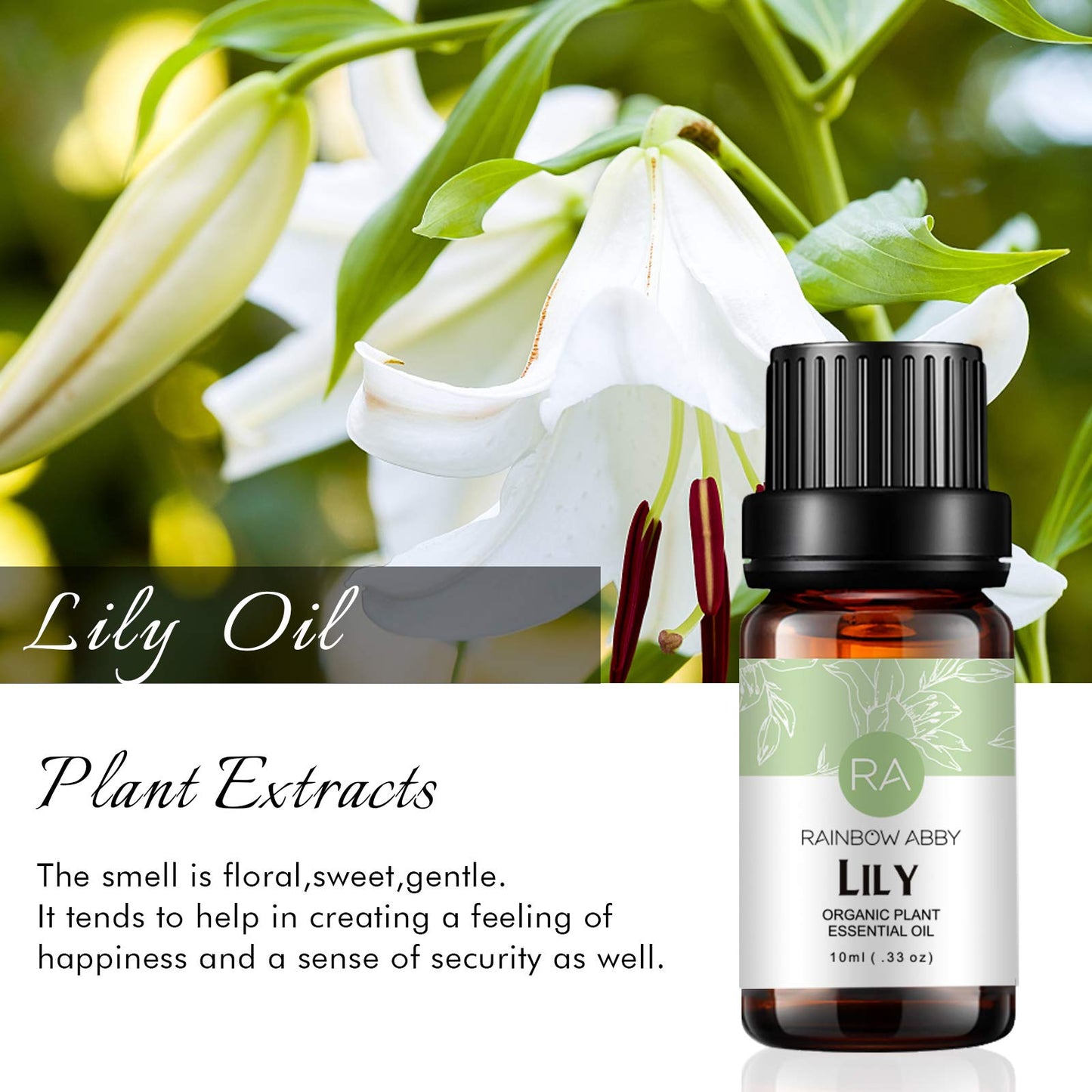 Lily Essential Oil 100% Pure – Organic Lilium Auratum (10ml) | Rainbow Abby