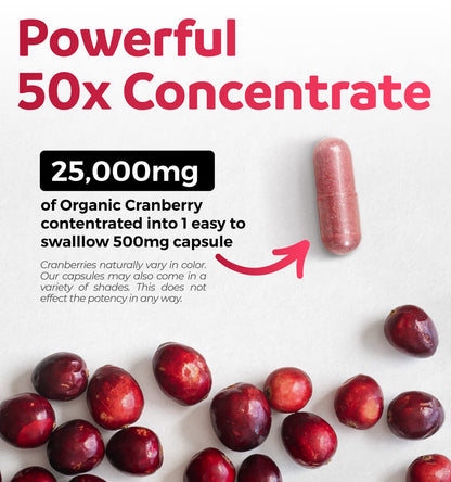 Organic Cranberry Extract Capsules — 50X Potency Cranberry Pills (4 Month Supply) — Vegan, Non-GMO, USDA Organic