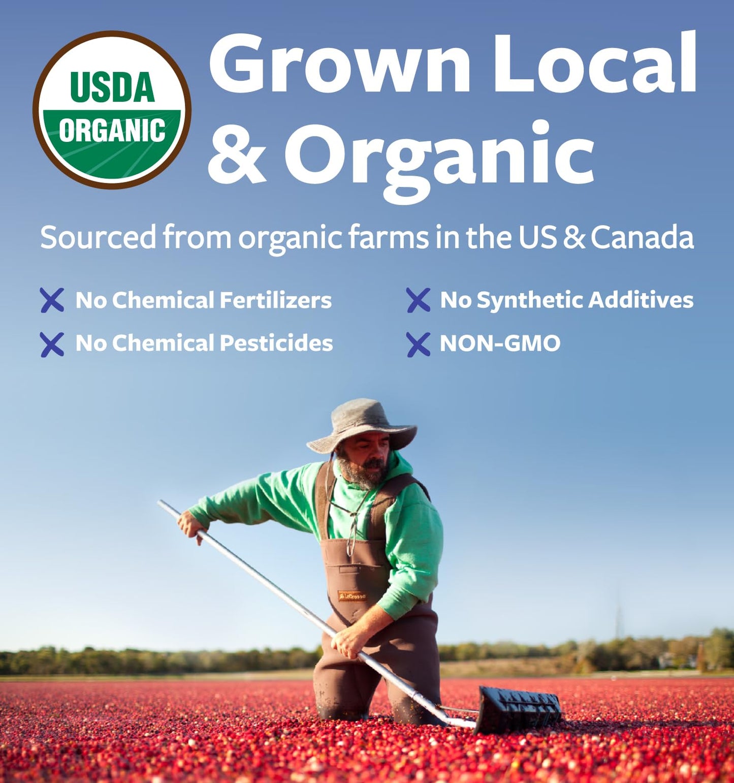 USDA Organic Cranberry Powder - 50:1 Concentrate for Urinary Tract Health (Vegan, Non-GMO, Filler Free) - 200 Servings